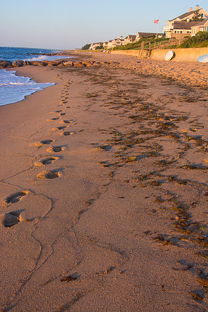 Cape Cod beach