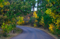 Paths and more