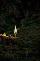 Lite up as sun goes down