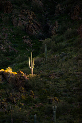 Lite up as sun goes down