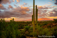 Sunset in desert