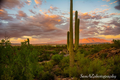 Sunset in desert