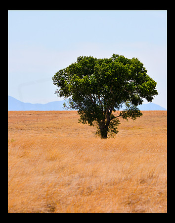 Alone